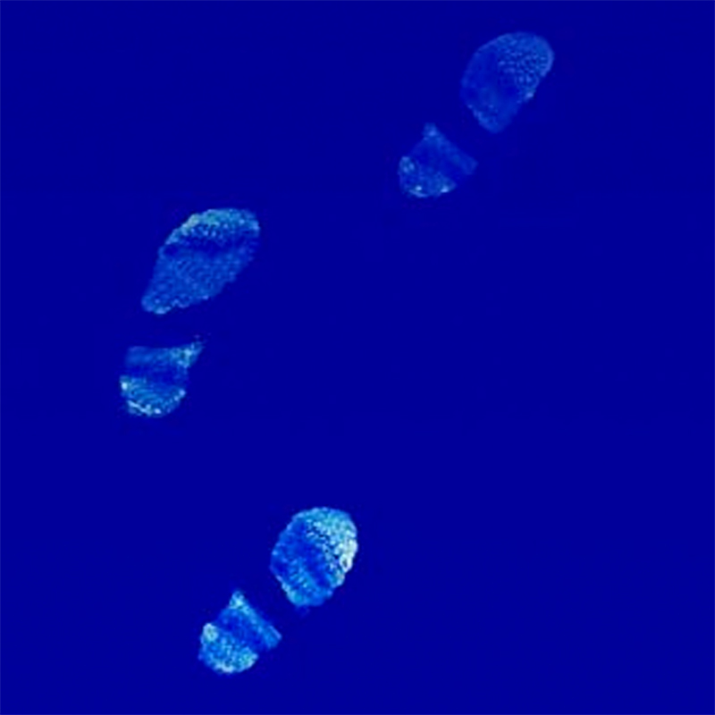 "Tough" Decontamination Floor Mats (2)