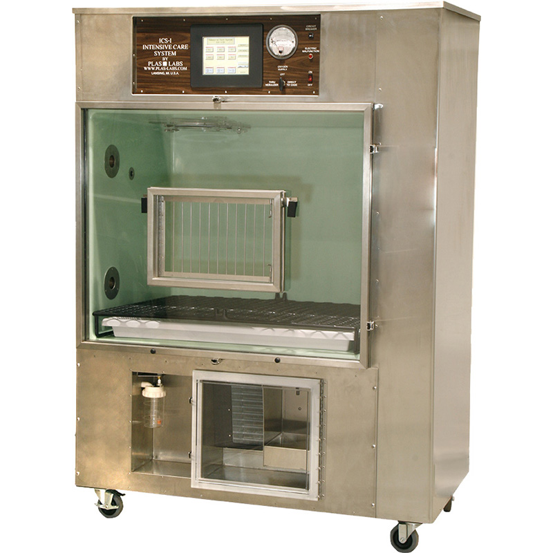 Intensive Care Units